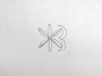 ひがんばなの描き方