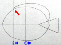 魚の絵の描き方