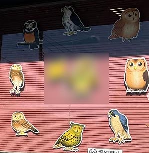 魚　看板