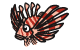 ハナミノカサゴ